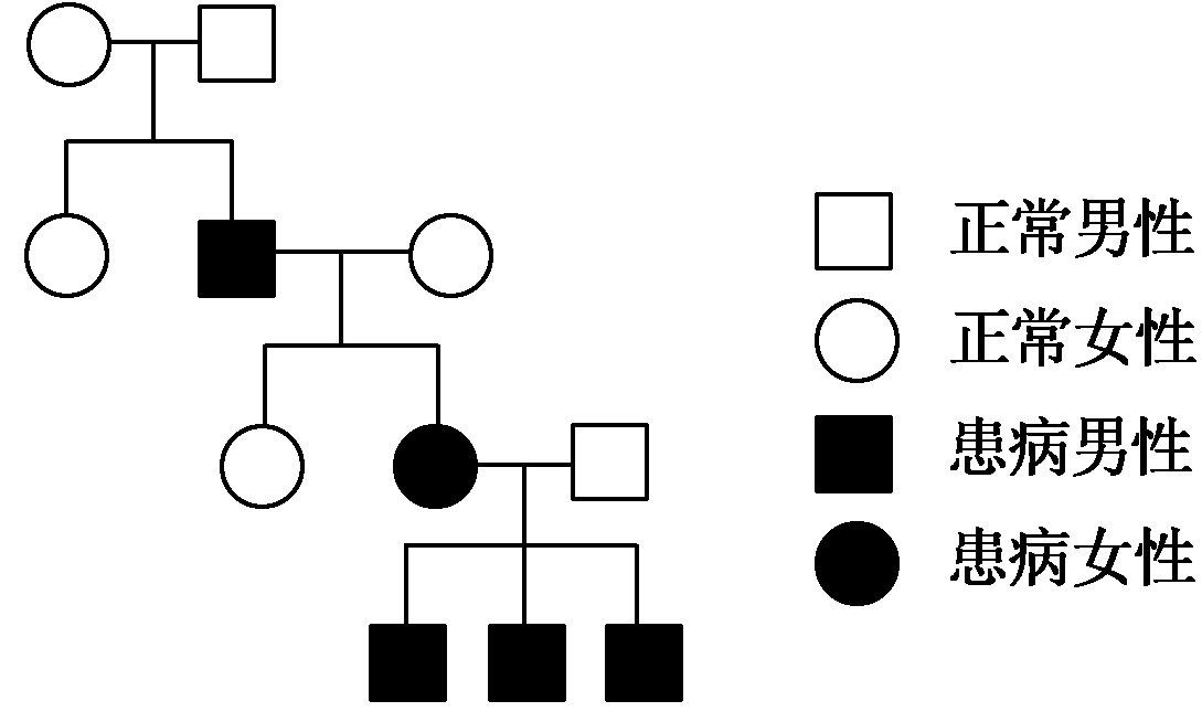 1.伴y染色体遗传:如人类外耳道多毛症的遗传.