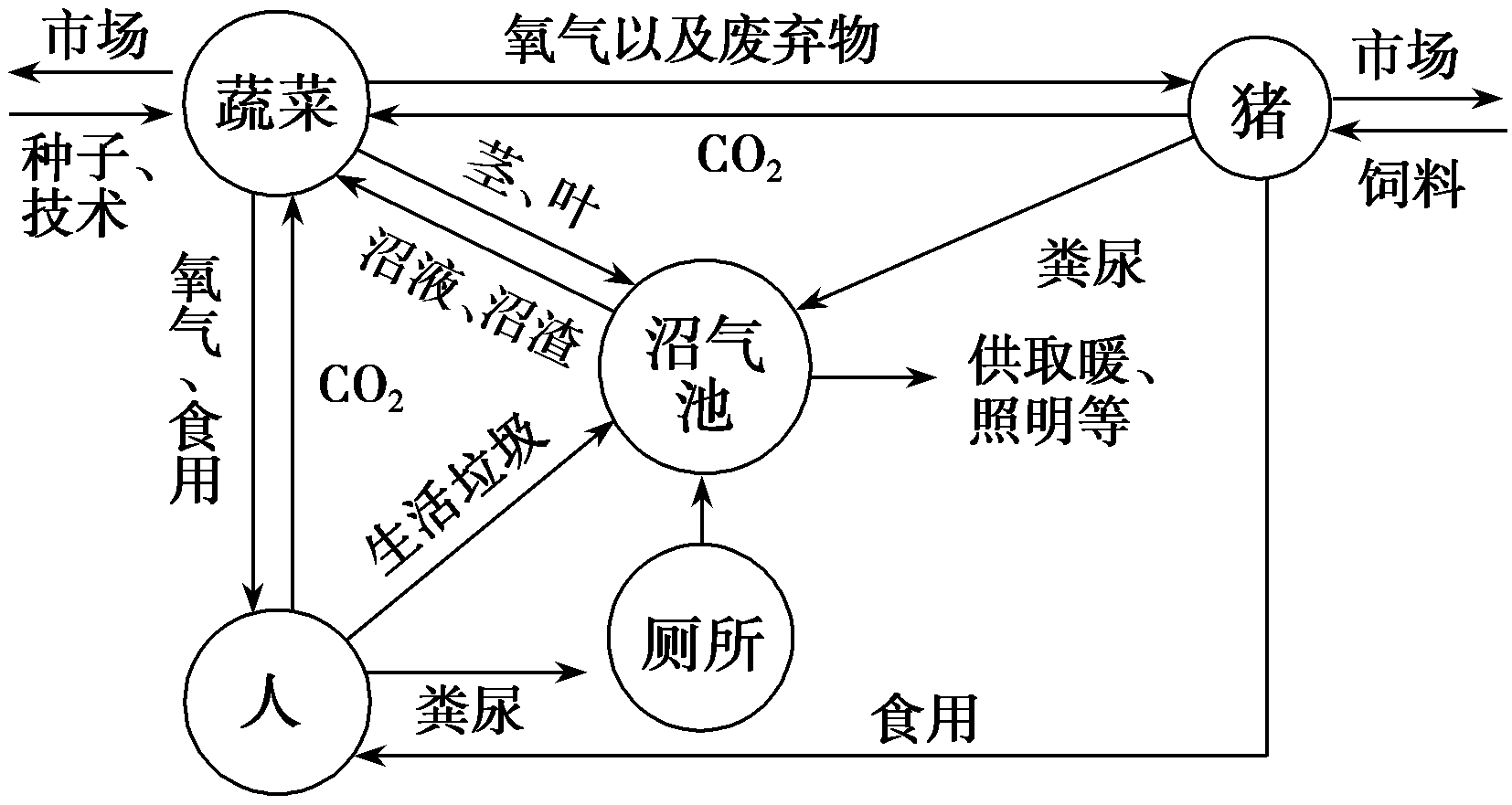 "四位一体"生态农业是我国北方典型的生态农业模式,它以沼气为纽带,将