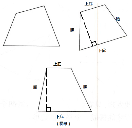 画出每个梯形的高,分别标出它们的上底,下底和腰._百度教育