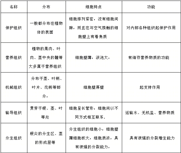 【分析】植物体的组织主要有保护组织,分生组织,营养组织和输导组织等