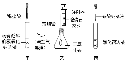 (1)实验甲:滴入数滴稀盐酸振荡后,红色迅速消失,其反应的化