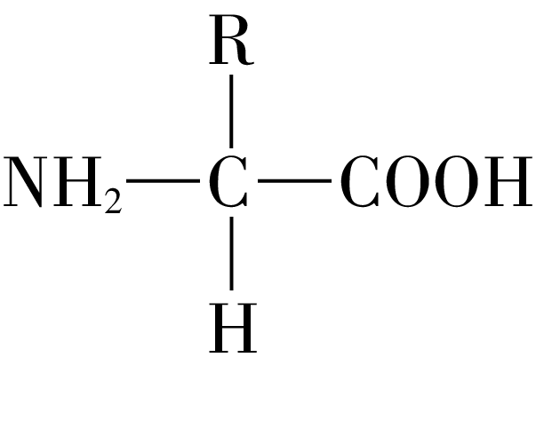 下面是脑啡肽的结构简式.请回答下列问题:氨基酸的结构通式为 .